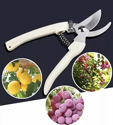 Garden Yard Pruning Shears Pruner Ratchet Scissors Branch Cutter Trimmer Tools • £17.36