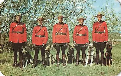 Vintage Postcard Members Of The Royal Canadian Mounted Police With Dogs 1954 • $11.99