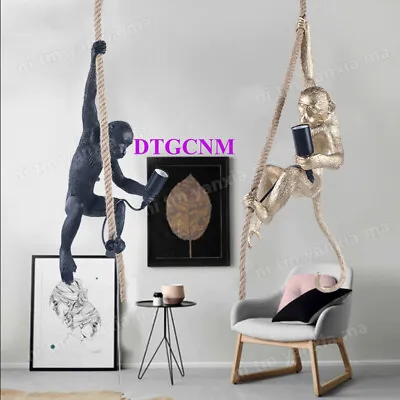 Vintage Resin Monkey Hanging Ceiling Lamp Hemp Rope Pendant Light Wall Light USA • $43