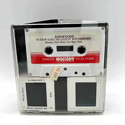 Vintage REDWOODS Trees 40 Color Slides And Cassette With Narration - 1984 • $58.94