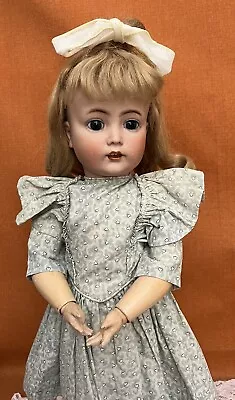 Antique 23  German Bisque Head Doll 117N Kammer Reinhardt Mein Leibling Pretty! • $152.50