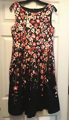 Talbots Cotton Fit Flare Black Dress Coral Floral Size 8 New • $38