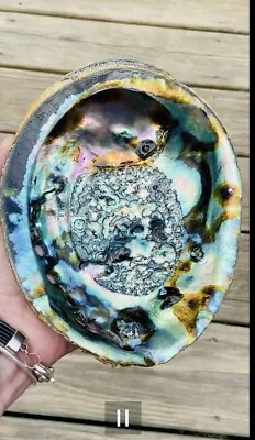Large Polished Abalone Shell Green Abalone Shell 6-7in Smudge Bowl • $17.50