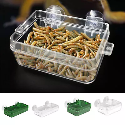 Reptile Feeder Not Easy To Fall Feed Water Worm Live Reptile Pet Feeder High • $33.30