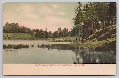 Auburn Maine Auburn Fish Hatchery Landscape Scenic View Vintage Postcard • $6.39