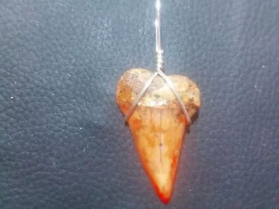 1.5 Orange Bakersfield Mako Shark Tooth Pendant With Sterling Silver Wrap • $14.99