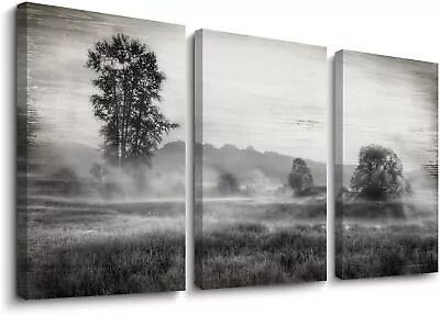 Art Printed 3 Piece Painting On Canvas Landscape Modern Black Small Framed Decor • $55