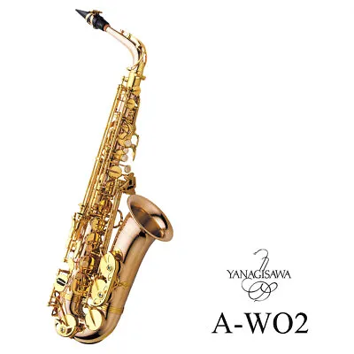 Yanagisawa A-WO2 Alto Saxophone Bronze Brass Lacquer Finish From Japan • $2885