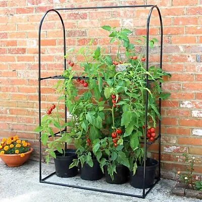 £34.99 • Buy Haxnicks Tomato Crop Booster Frame Support Garden Cucumber Climbing Plant Cage