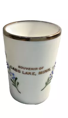 Vintage Souvenir Milk Glass Tumbler Cass Lake Minnesota MN MINN Floral Design • $15