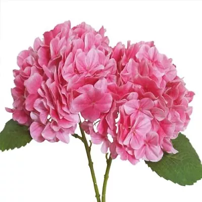 2 Pcs Small Real Touch Silk Hydrangea Flowers Artificial Hydrangea For Weddi... • $20.03