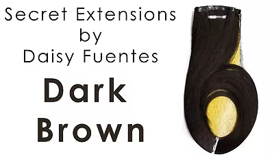 Daisy Fuentes Secret Extension Hair Piece Accessory Dark Brown Head Band Attach • $23.99