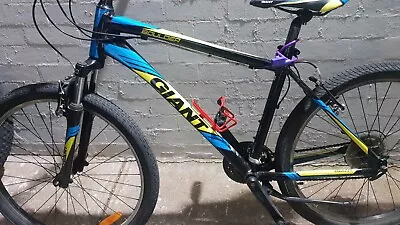 Giant Mountain Bike • $120