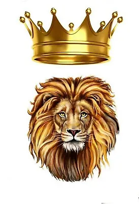 Lion Art Edible Cake Topper Print • £6.29