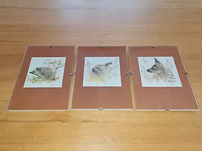 £20.12 • Buy 3x Mads Stage / Denmark Art Print / Picture / Watercolor: Hedgehog, Rabbit, Deer