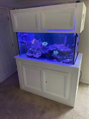 $1250 • Buy 150 Gallon Saltwater Aquarium Fish Tank