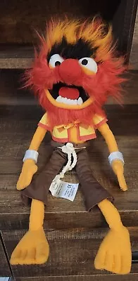 Muppets Most Wanted ANIMAL Drummer 14  Plush Disney Store • $20