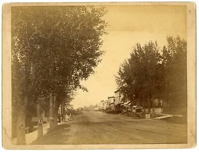 Montevideo Minnesota Oversize Albumen Cabinet Photo Looking Down Main Street • $87.95