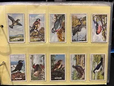 British Birds Gallaher Ltd 1937 Cigarette Cards Full Set Of 48 Good • £1