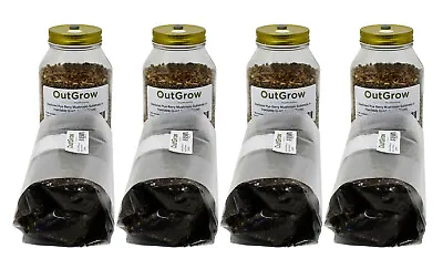 4 Quart Jars Of Rye And 4 Bags Of Manure-Based Substrate • $74.95