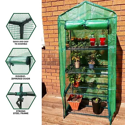4 Tier Mini Greenhouse Outdoor Garden Plants Grow Green House With PVC Cover • £21.85