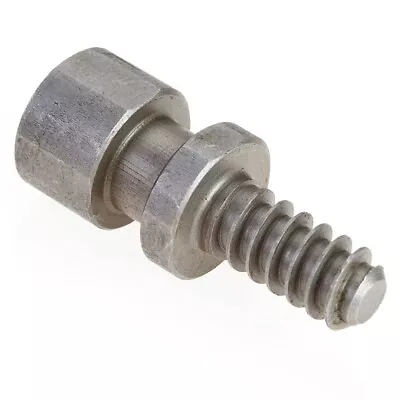 Nova Woodworm Screw • $35