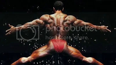 Flex Wheeler Wall Poster Mr Olympia Arnold Classic Bodybuilding Sz A4 A3 A2 & A1 • £5.99