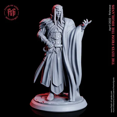 High Elf Lord Knight Fighter Resin Miniature 28mm 32mm Dungeon Dragons D&D RPG • $11.99