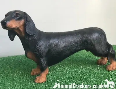 Black & Tan Dachshund Sausage Dog Leonardo Lifelike Ornament Figurine Gift Boxed • £13.90