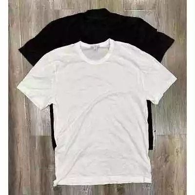 Lot Of 2 James Perse Men's Black Pigment Wash & White Short Sleeve T-Shirts • $54.75