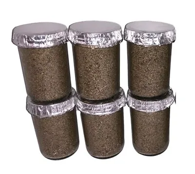 6 - Organic Fast Growing Mushroom Substrate Jars PF TEK BRF Sterilized • $55