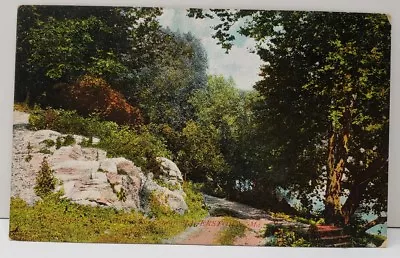 Hagerstown Md 1909 Lovers Path Walt's Park Williamsport Downsville Postcard A1 • $3.95