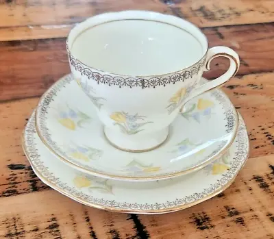 Salisbury Bone China Floral Teacup Saucer & Plate Trio Blue And Yellow • $40