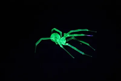 Uranium Glass Spider Uranium Vaseline Glass Figurine Spider Glass UV Spider • £142.11