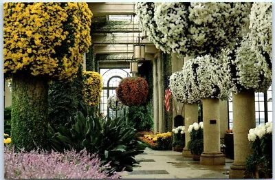 Postcard - Chrysanthemums Main Conservatory Longwood Gardens - Pennsylvania • $2.06