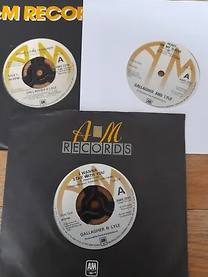 Gallagher And Lyle  - 3 X Vinyl Singles 45rpm • £1.50