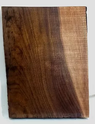 Natural Ohio Black Walnut Slab Live Edge Unfinished Wood Woodworking W204 • $17.92