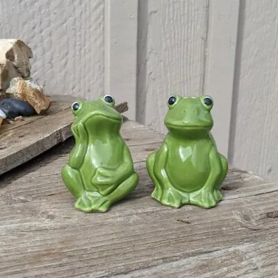 Pair Of Green Frogs Ceramic Salt And Pepper Set • $11.99
