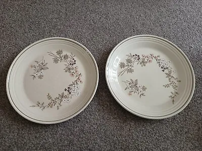 £6 • Buy 2 X Royal Doulton Lambethware Bredon Hill Dinner Plates