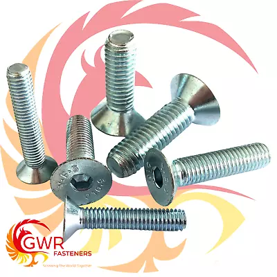 M6 M8 M10 Socket Countersunk Screws High Tensile Bright Zinc Plated Allen Bolts  • £2.74