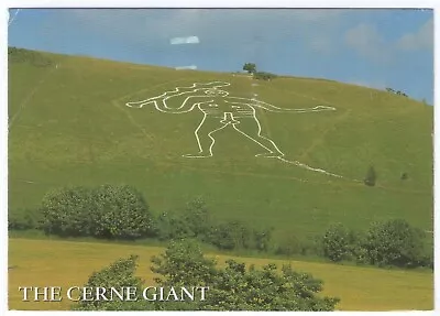 The Cerne Giant Cerne Abbas Colour Postcard Posted 2013 • £3