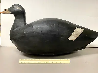 Oversized Canvas Scoter Duck Decoy Made By Joe Neal Of Woolwich Maine • $725