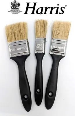 Harris 3 Piece Paint Brush Set Pure Bristle Wood Stain Varnish DIY 1-2  Brushes • £4.79