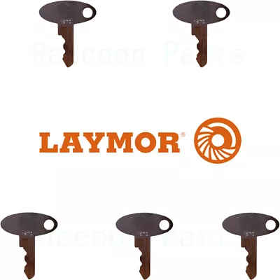 5 Lay-Mor Sweepmaster Ignition Keys 476088 Dixie Chopper Mower Ford Tractor • $9.95