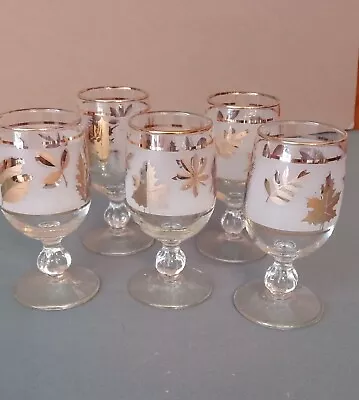 Set Of 5 Libbey Vintage Golden Foliage Sherry Glasses  • $40