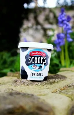 Scoops Dog Ice Cream-6 X 125ml Tubs • £23.50