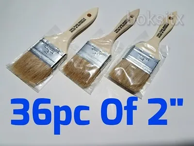 36 Pc 2  Chip Brush Brushes  Paint Glue Touchups 100% Pure Bristle • $23.75
