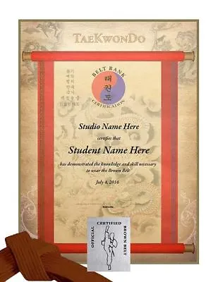 Martial Arts Certificates - TaeKwonDo & Karate Rank Certificates - Pack Of 10 • $18.99