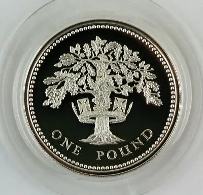 £12.99 • Buy 1987 Royal Mint Oak Tree Silver Proof One Pound £1 Coin COA, Box, Outer
