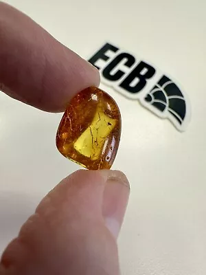 Baltic Amber With Mosquito Inclusion. 100% Real No Fakes. Uk Seller 🇬🇧 • £14.99